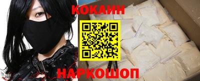 альфа пвп Новодвинск