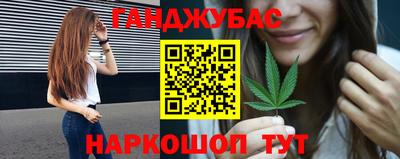 альфа пвп Новодвинск