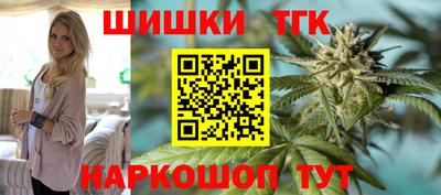 альфа пвп Новодвинск