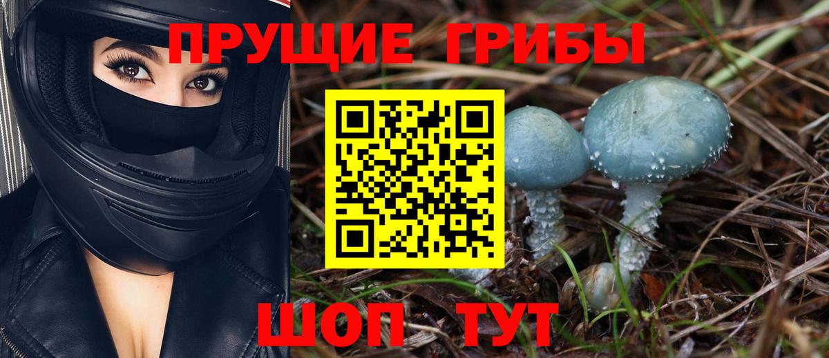 Артём  Псилоцибиновые грибы Psilocybine cubensis  Галлюциногенные грибы Magic Shrooms  Вход с VPN 